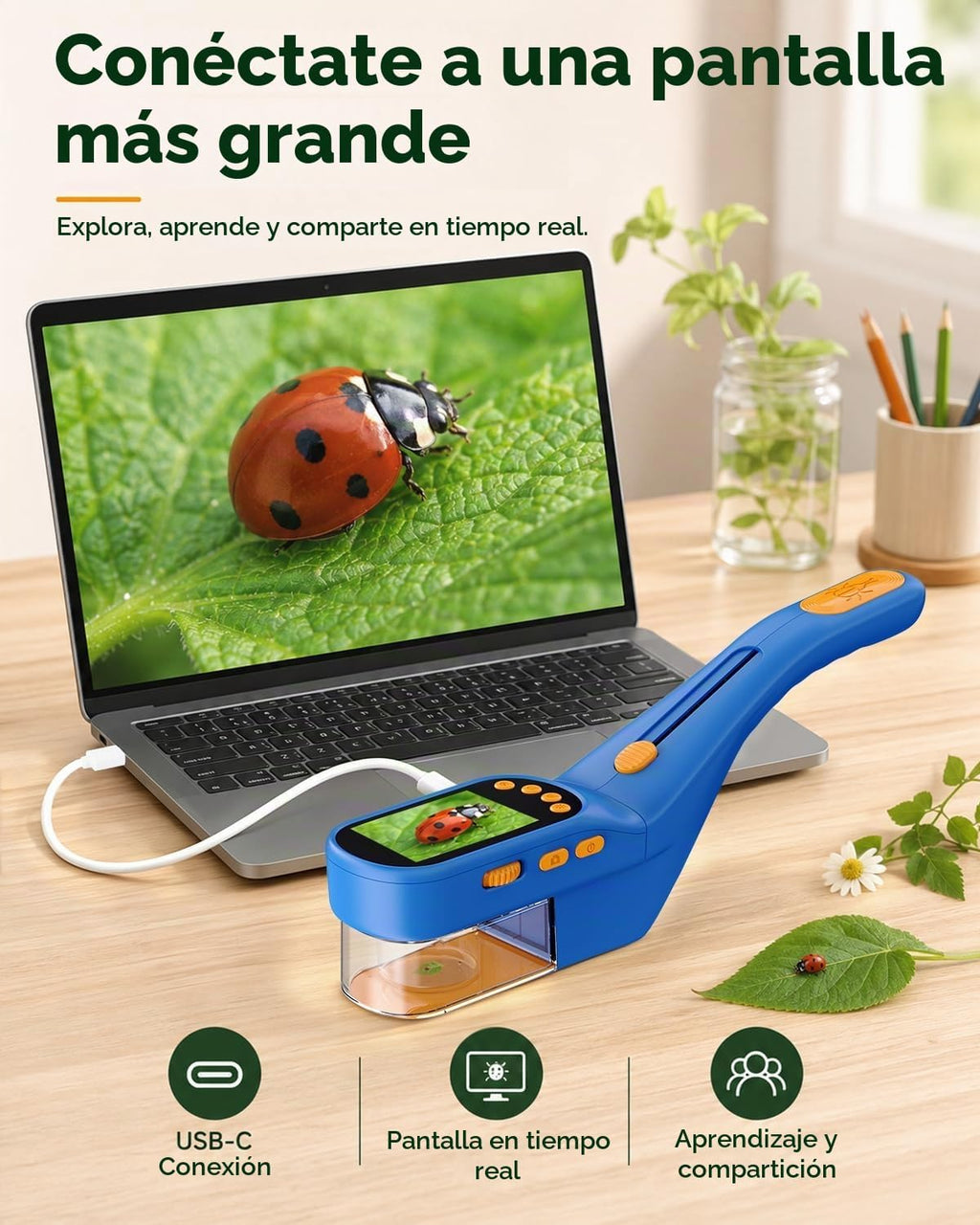 Bug Catcher para niños, kit de ciencia de mano para niños de 4 a 12 años