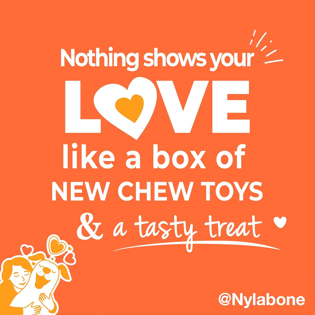 Nylabone - Caja de regalo para perros, juguetes masticables fuertes y