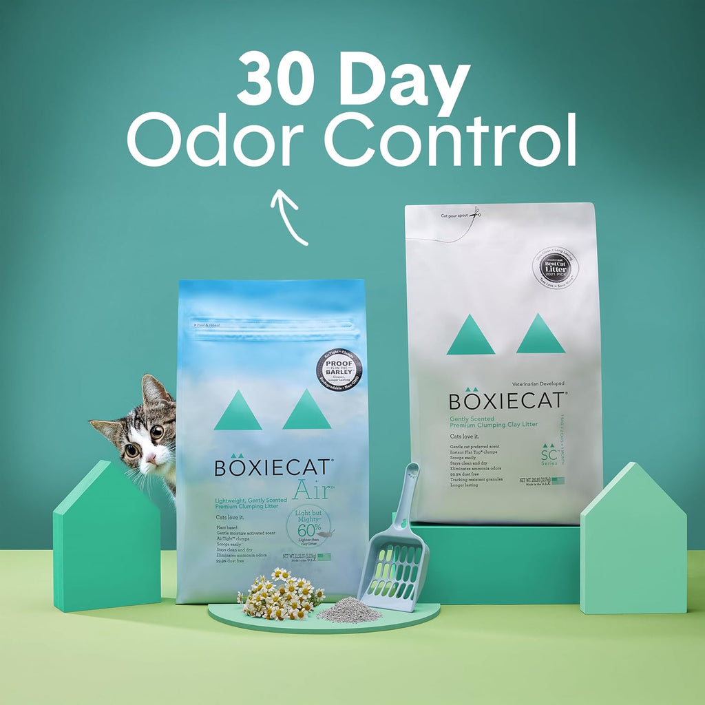 Boxie - Arena para gatos suavemente perfumada, ligera, control de olores de 30 días, agrupamiento, 16.5 libras