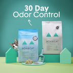 Boxie - Arena para gatos suavemente perfumada, ligera, control de olores de 30 días, agrupamiento, 16.5 libras