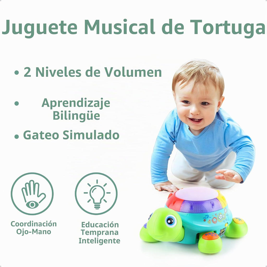 iPlay, iLearn Juguete Musical de Tortuga para gatear para bebé, Bilingüe en español e inglés