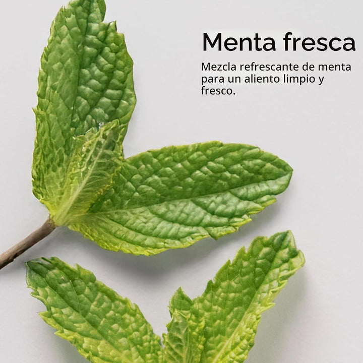 Polvo dental remineralizante \u2013 Cuidado oral sin fluoruro \u201...