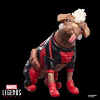Marvel Legends Series Dogpool and Deadpool, Marvel Studios Deadpool