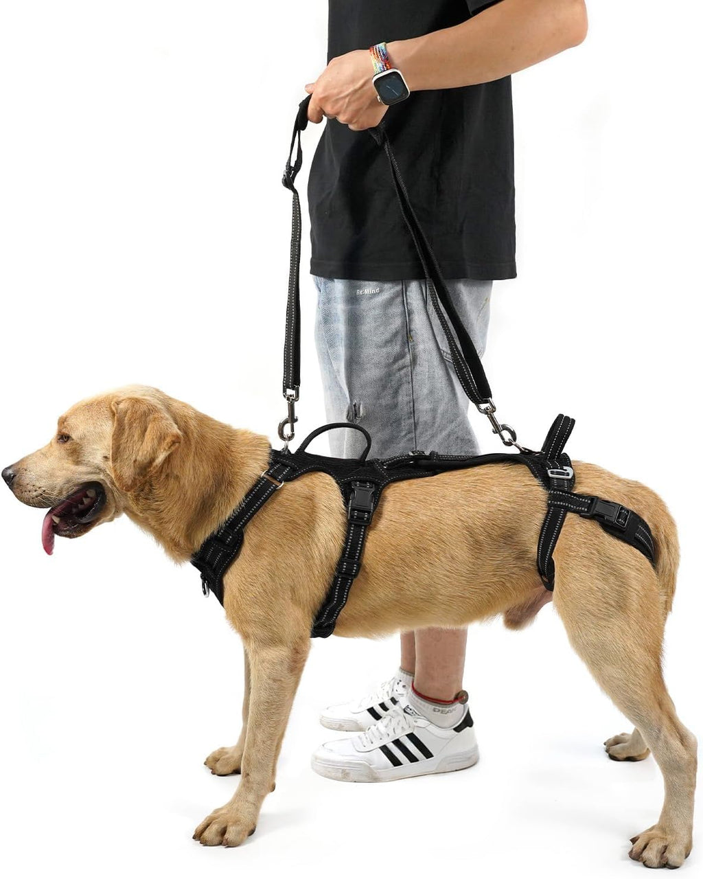 COODEO Mobility - Arnés de elevación para perros, arnés de apoyo y arnés para caminar para perros, chaleco de apoyo de rehabilitación de patas traseras de mascotas, transportador para perros mayores con lesiones en las articulaciones, artritis, escalera
