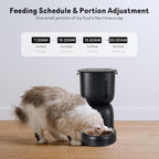 Alimentador automático para gatos y dispensador de agua FW1, dispensador de comida para gatos con cable o batería, temporizador, alimentador para mascotas con tapa de cierre, bolsa desecante, control