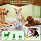 Juguetes interactivos para perros, juguete para perros en movimiento para