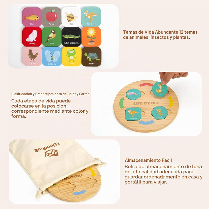 Woodtoe - Juguetes de ciclo de vida, 12 temas Montessori Science To...