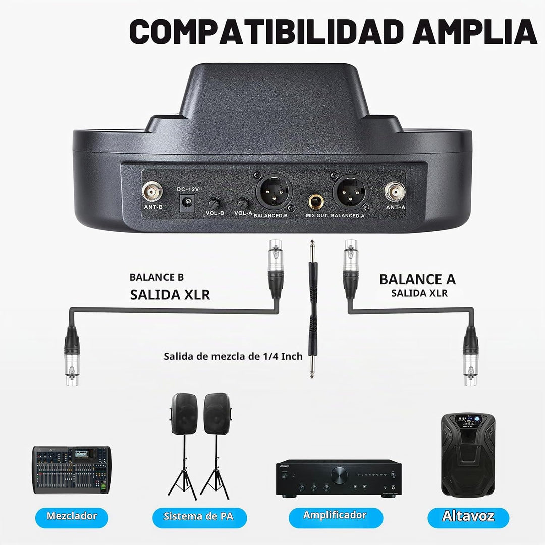 Sistema de micrófono inalámbrico de mano recargable, micrófonos ina...
