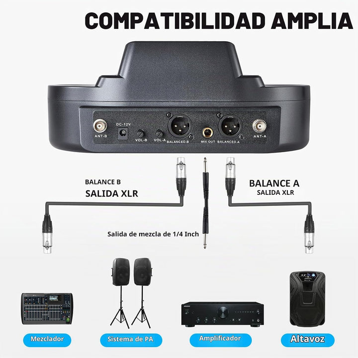 Sistema de micrófono inalámbrico de mano recargable, micrófonos ina...
