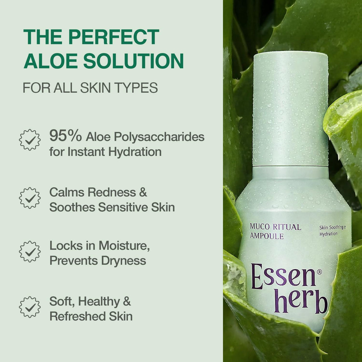 Essenherb Muco Ritual Ampolla \u2013 Gel de aloe vera 95% puro | Su...