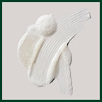 Aveda Champú para manos y cuerpo | Jabón líquido de manos y gel de baño, 33,8 Fl Oz