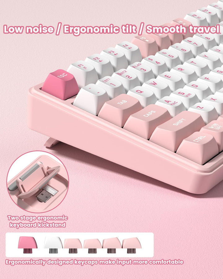 Womier DK75 75% Wireless Gaming Keyboard, RGB Backlit Creamy Keyboa...