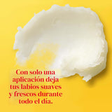 Burt's Bees - Bálsamo labial, protector labial hidratante para...