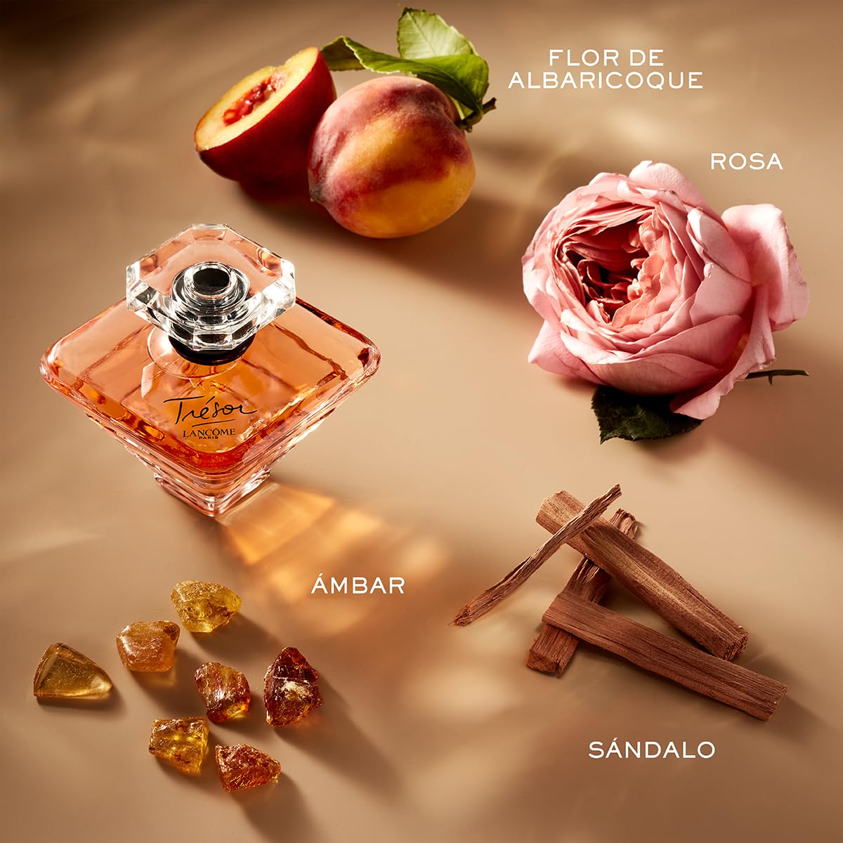 Lancôme Trésor Eau de Parfum - Fragancia de larga duración con nota...