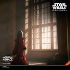Star Wars Black Series Figura de acción de la Reina Amidala