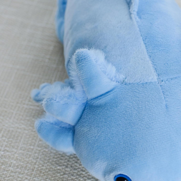 RejoyLix Axolotl - Peluche de salamandra suave, bonito regalo de sa...