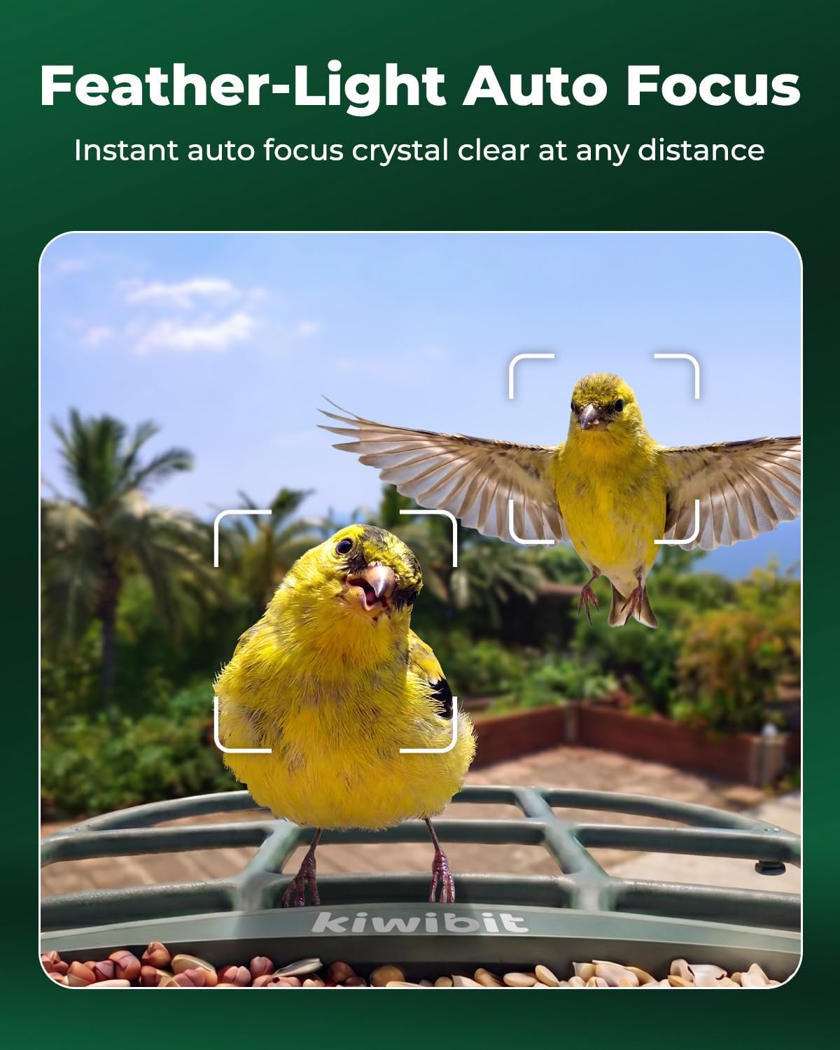 Alimentador solar para pájaros con cámara, enfoque automático 4K