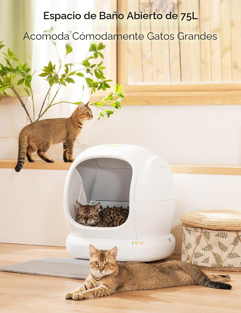 Meowant Caja de arena para gatos autolimpiante, 75L extra grande con tapa