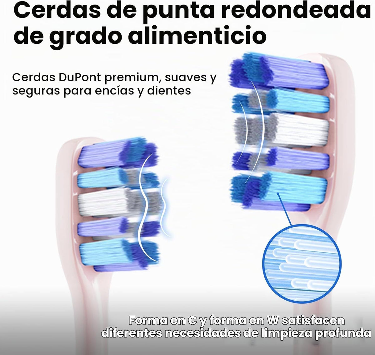 Cepillo de dientes eléctrico para adultos, batería de 180 días, Rosa