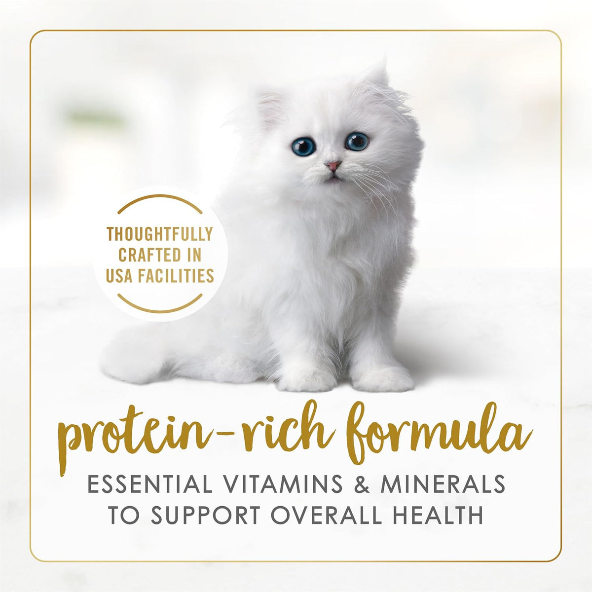 Purina Fancy Feast - Paquete variado de alimentos húmedos para gatitos