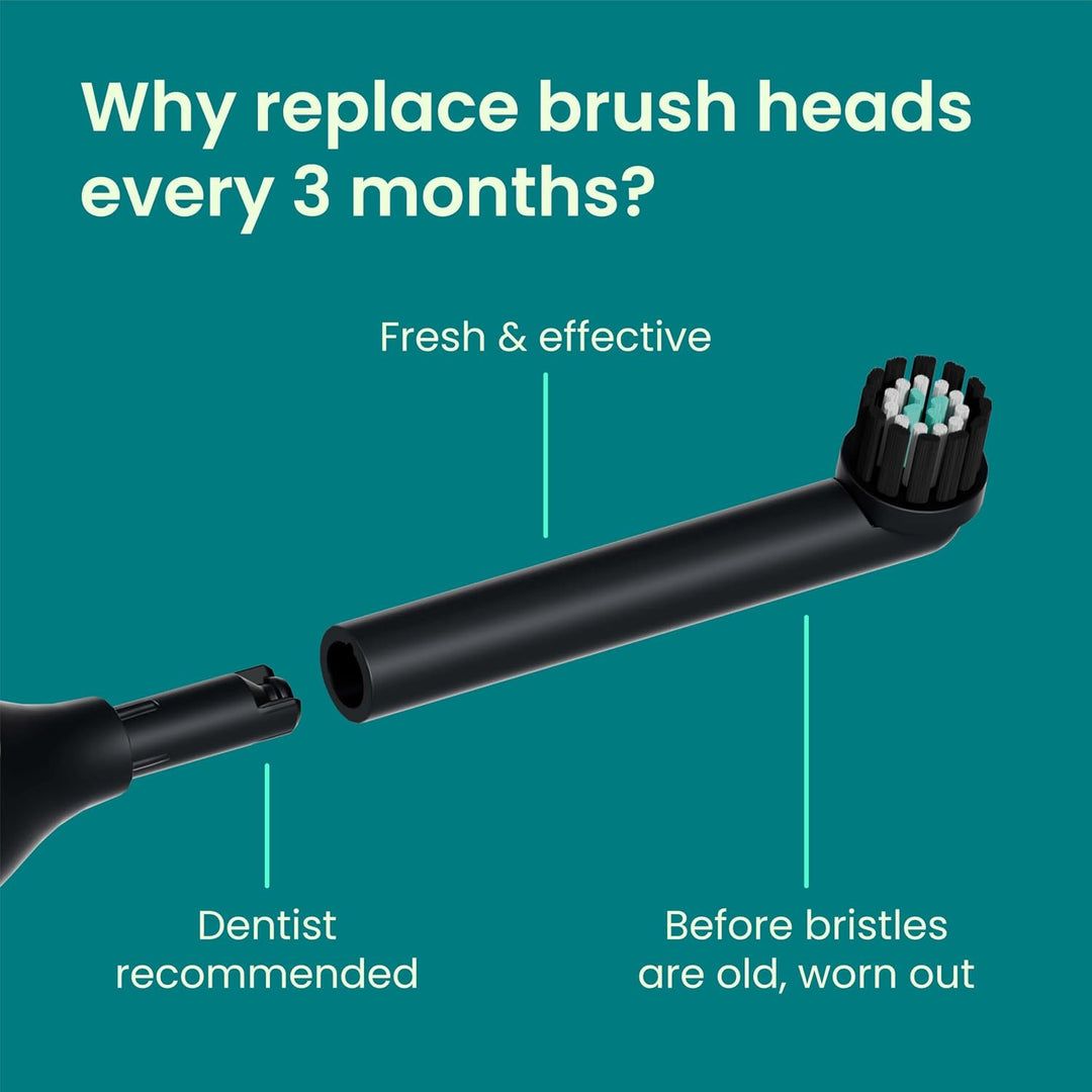 quip Rev - Cabezales de cepillo de dientes eléctricos oscilantes, p...