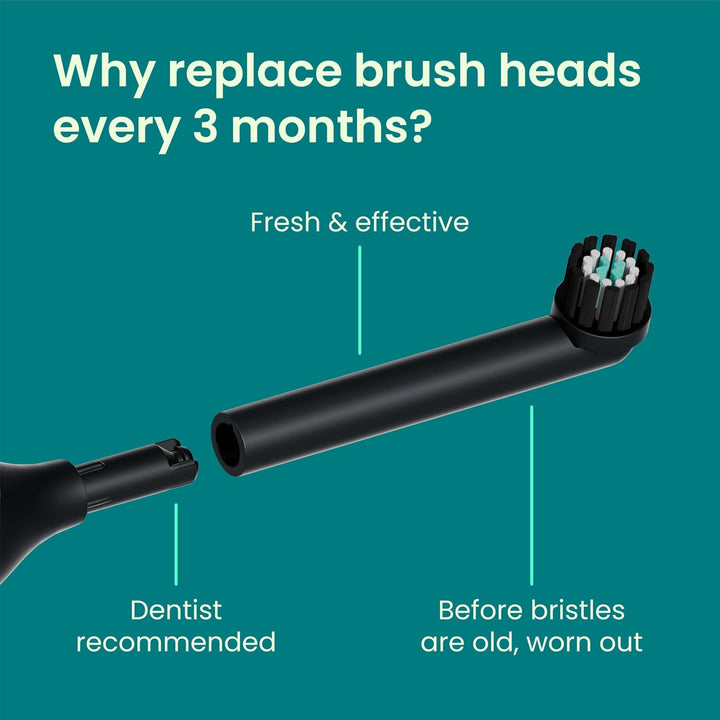 quip Rev - Cabezales de cepillo de dientes eléctricos oscilantes, p...