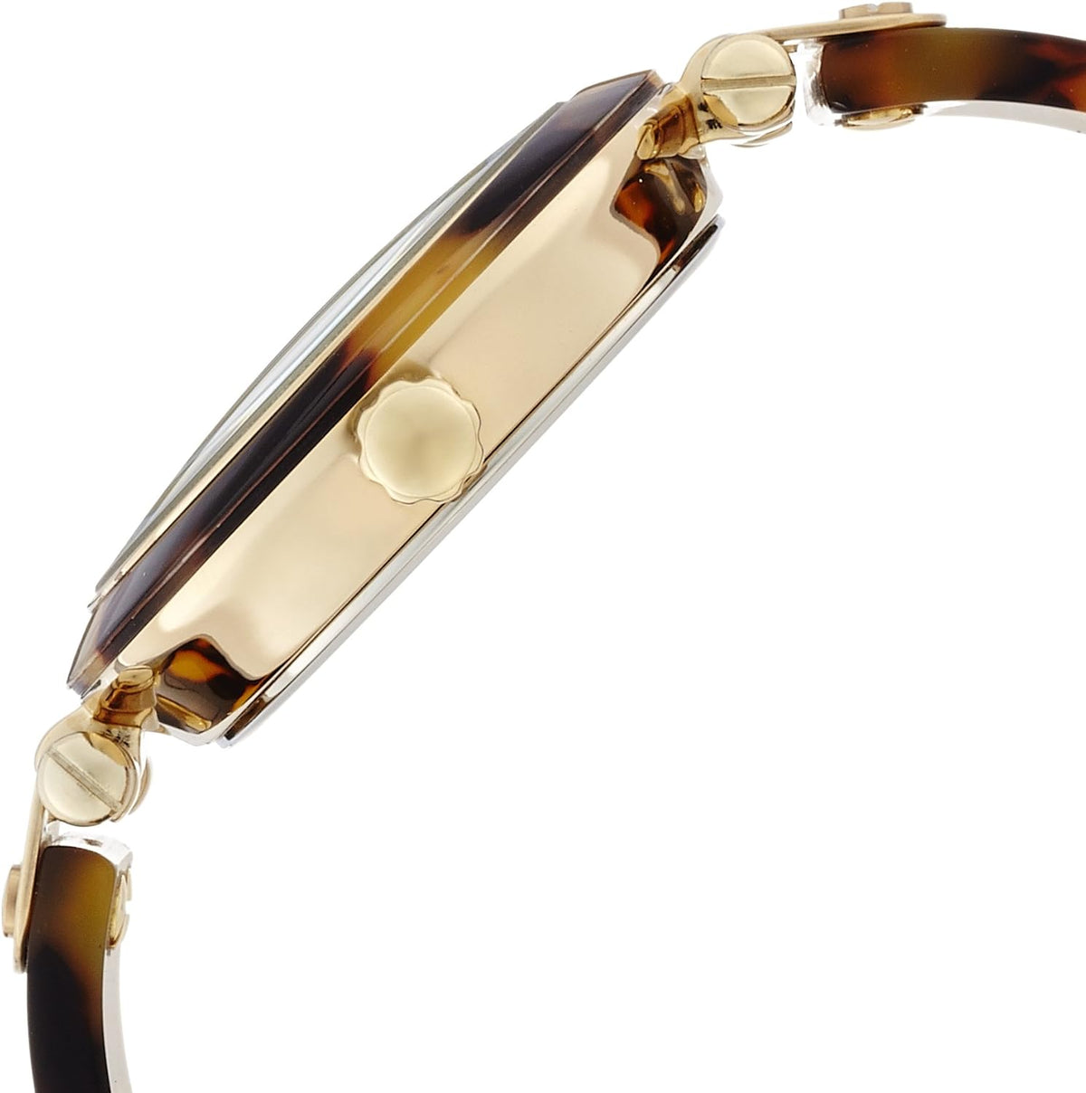 Anne Klein Reloj de pulsera de resina para mujer