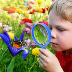 ESSENSON Kit explorador para exteriores y kit de atrapador de insectos