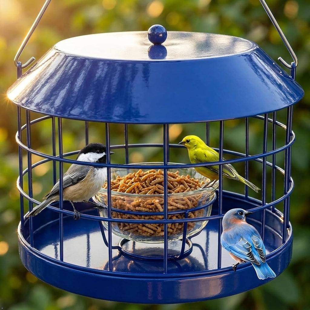 Bluebird - Comedero para gusanos de harina con cuenco de vidrio