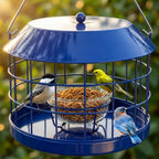 Bluebird - Comedero para gusanos de harina con cuenco de vidrio