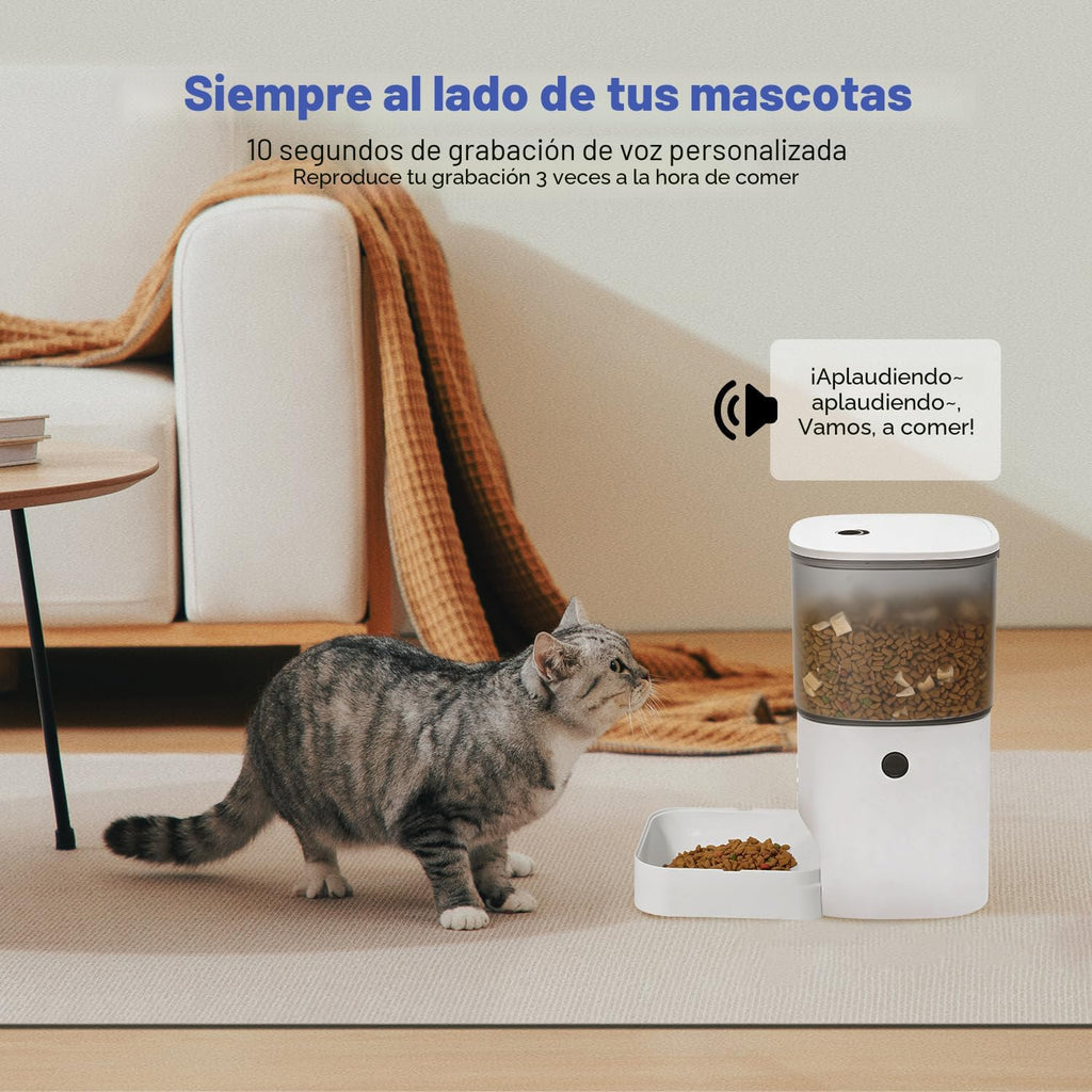 Comedero automático para gatos, dispensador de alimentos