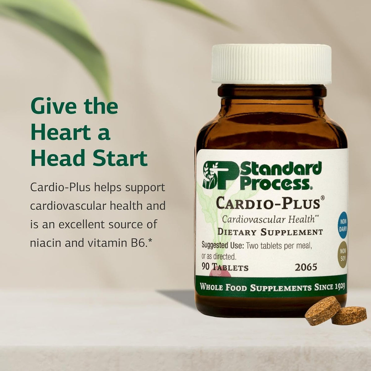 Standard Process Cardio-Plus - Apoyo antioxidante - Suplemento para...