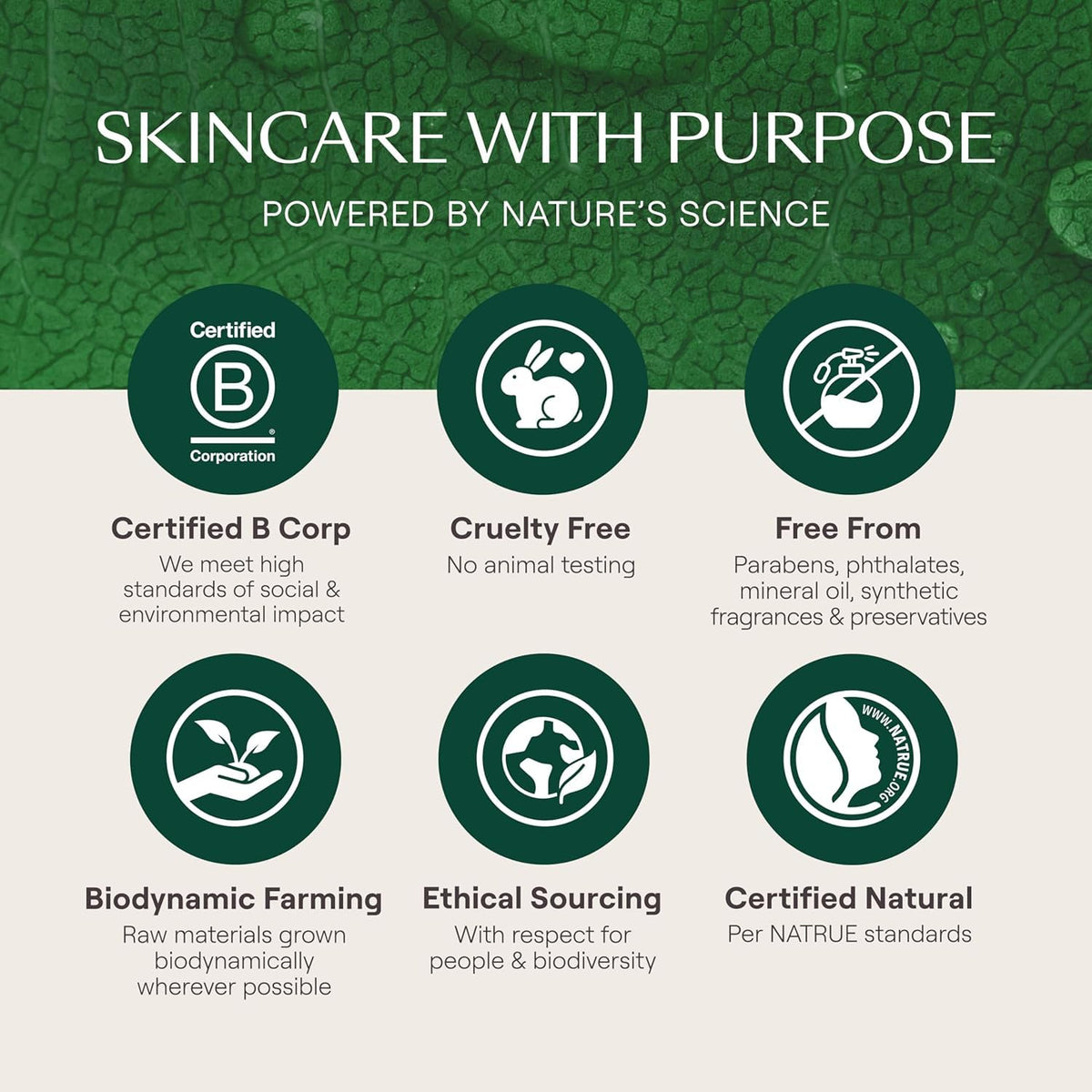 Weleda Skin Food Crema de día nutritiva para el cuidado facial, 1.3...