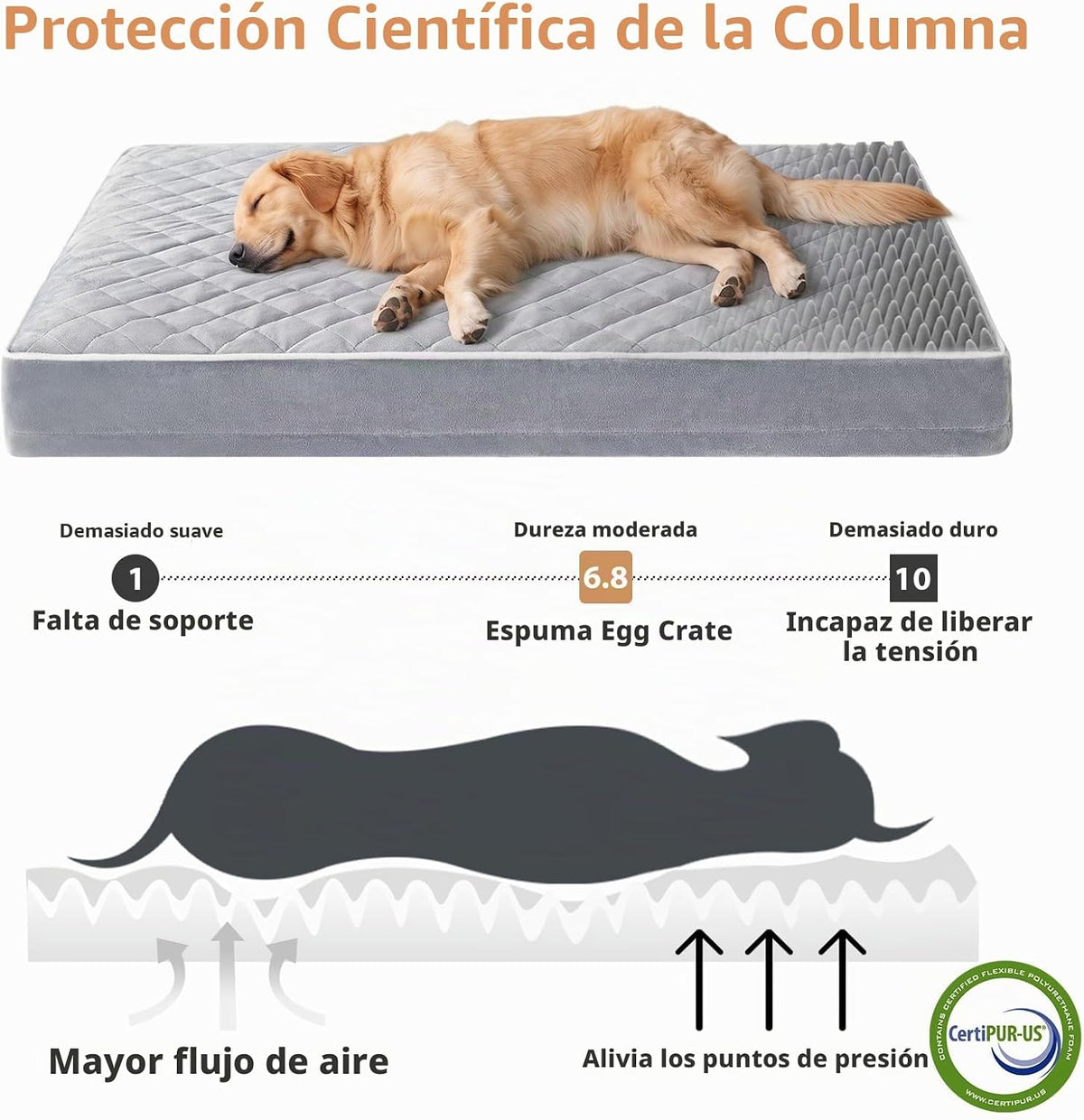 WNPETHOME Camas ortopédicas XXL para perros grandes y mayores