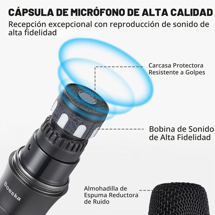 Sistema de micrófono inalámbrico de mano recargable, micrófonos ina...
