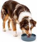 ¿Deberíamos Ir? Cuenco de agua para perros - El plato perfecto sin derrames, menos desorden, no se vuelca, cuenco de agua y comida, de silicona pura con ventosa, capacidad para 5 tazas, 19 cm de ancho