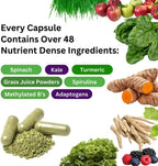 Paradise Herbs Earth's Blend - Paquete multivitamínico y complejo B una vez al día