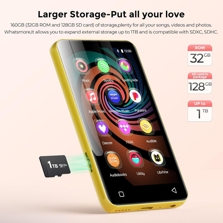 Reproductor de MP3 de 160GB con Bluetooth y WiFi, reproductor de mú...