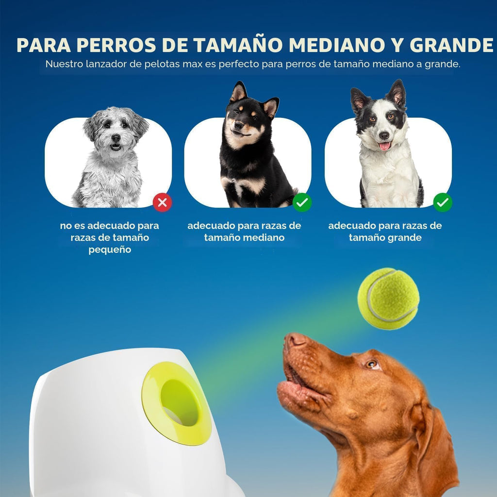 ALL FOR PAWS Lanzador automático de bolas para perros, juguete interactivo para perros medianos a grandes, máquina lanzadora de bolas recargable para mascotas para jugar al aire libre, 6 bolas de 2.5 pulgadas incluidas