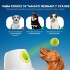 ALL FOR PAWS Lanzador automático de bolas para perros, juguete interactivo para perros medianos a grandes, máquina lanzadora de bolas recargable para mascotas para jugar al aire libre, 6 bolas de 2.5 pulgadas incluidas