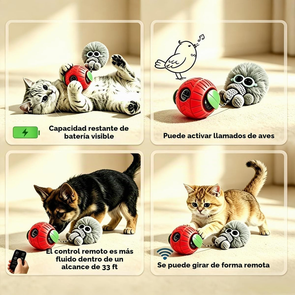 Nicoypole - Pelota de juguete automática inteligente para gatos y perros, juguete eléctrico interactivo recargable para mascotas, control remoto, pantalla LCD, canción de pájaro integrada, juego de