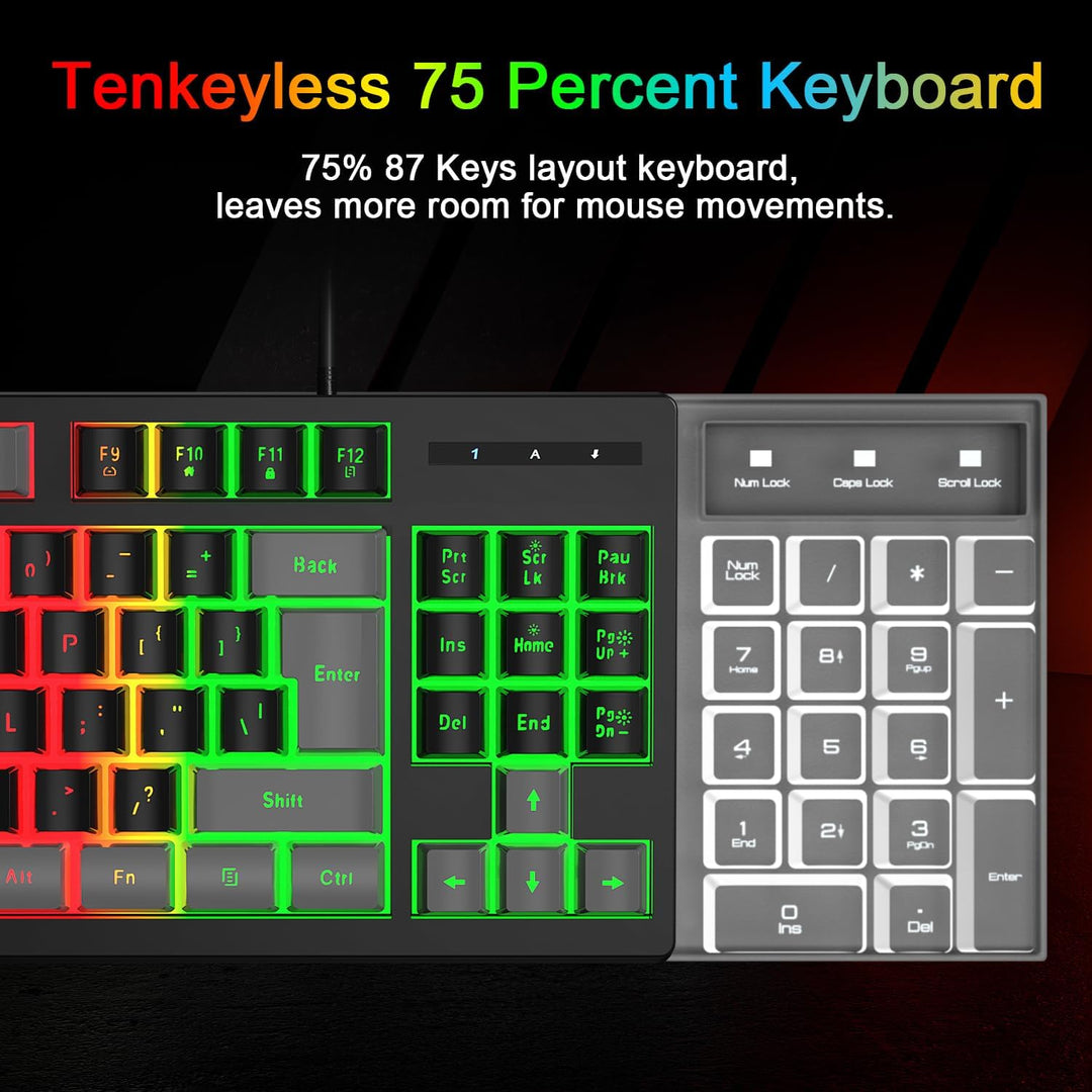 BlueFinger Combo de Teclado Gaming RGB de 87 Teclas y Mouse Retroil...