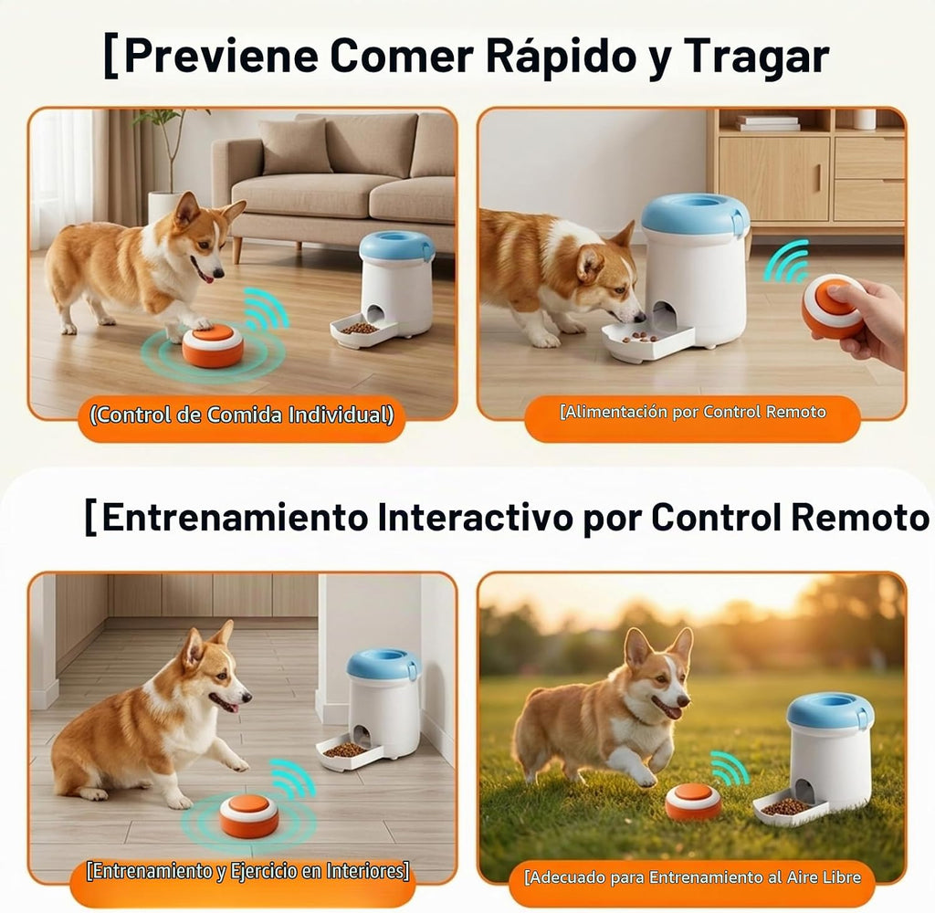 Dispensador automático de golosinas para perros, juguete interactivo