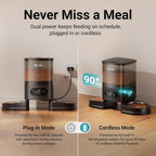 DownyPaws Alimentador automático para gatos 2 gatos, dispensador