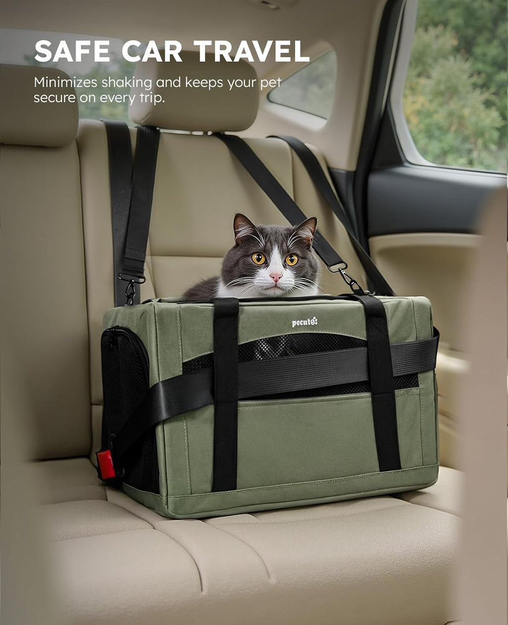 Pecute Transportador para gatos estable, transportador de mascotas con