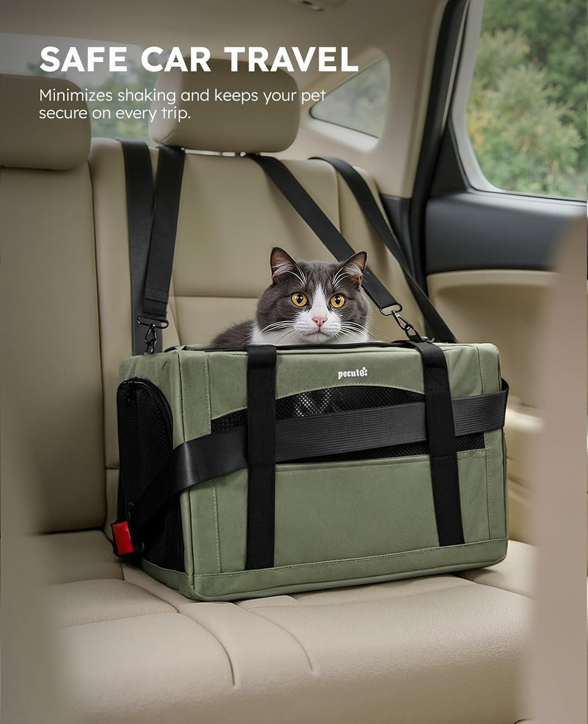 Pecute Transportador para gatos estable, transportador de mascotas con