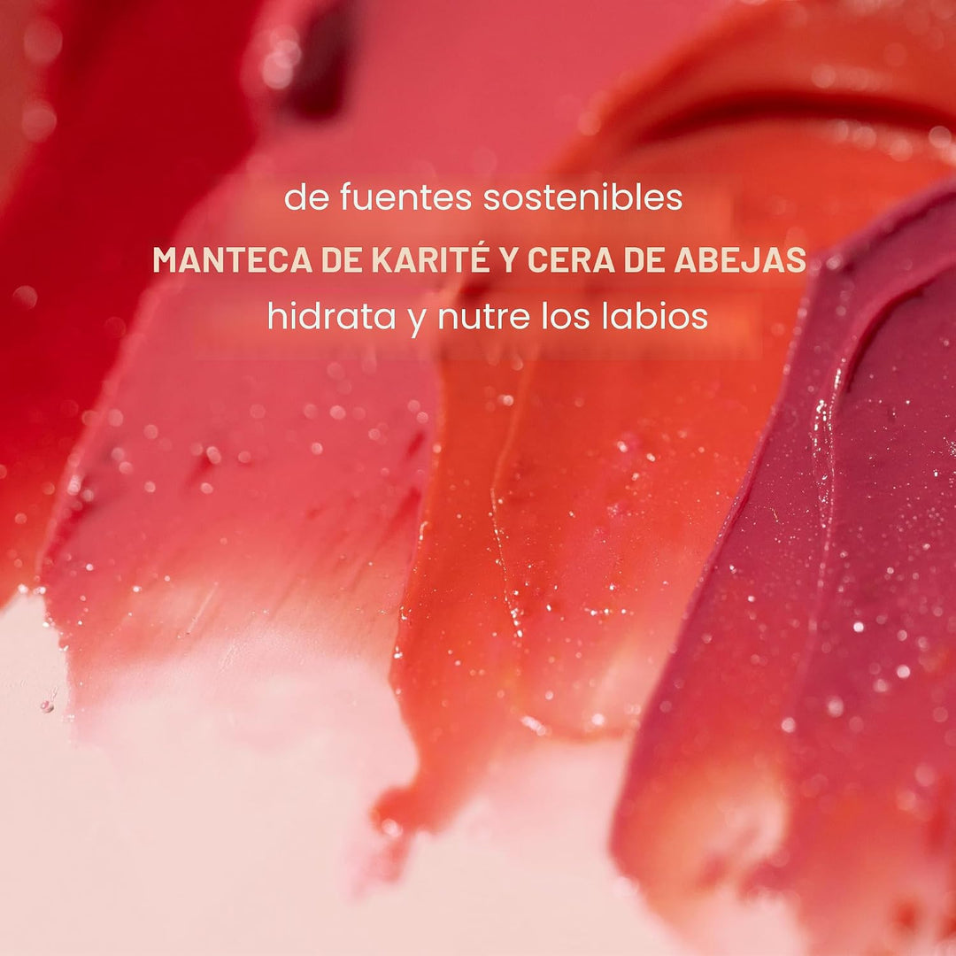 Burt's Bees - Bálsamo labial para rellenar los calcetines, fórm...