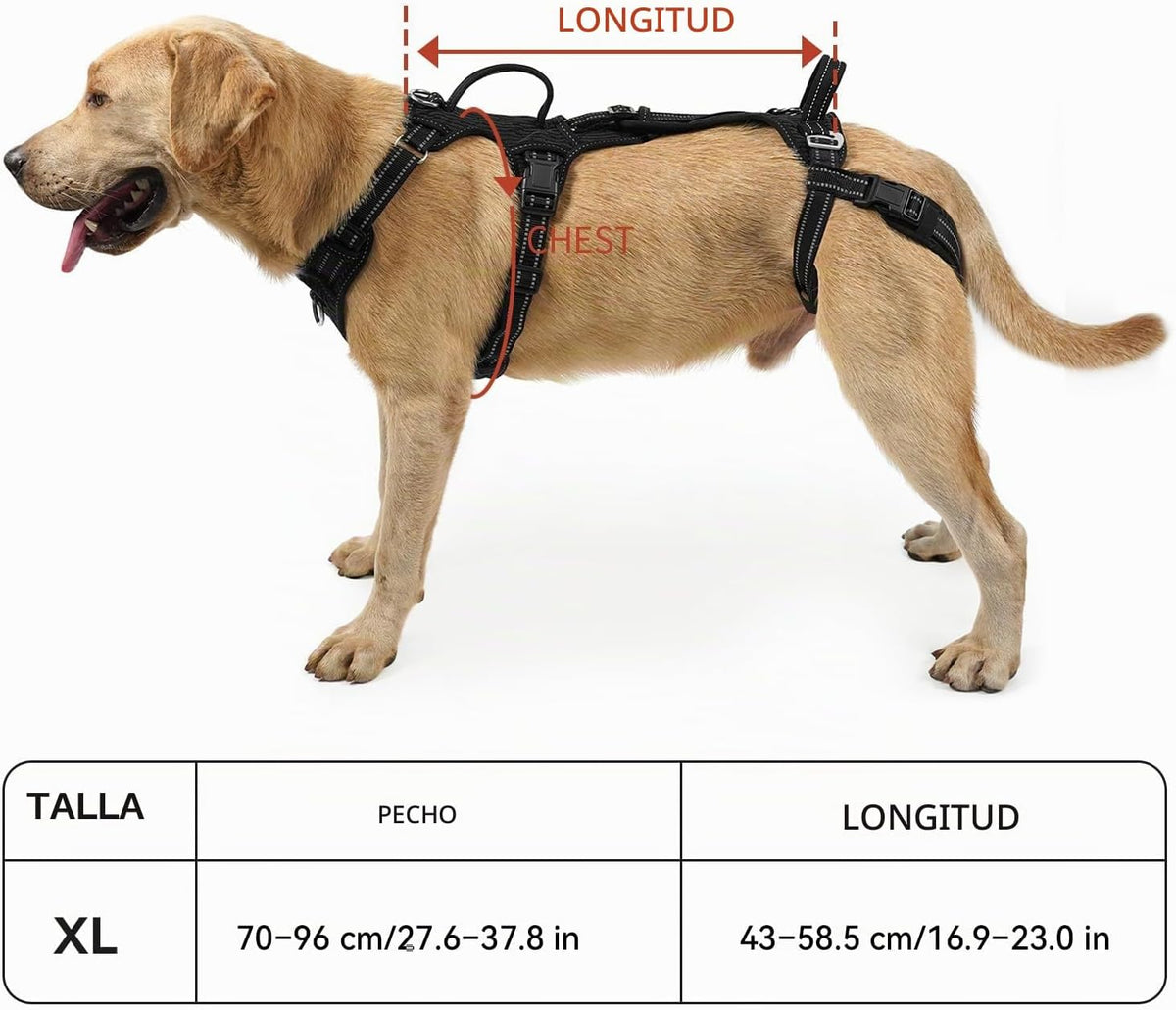 COODEO Mobility - Arnés de elevación para perros, arnés de apoyo y arnés para caminar para perros, chaleco de apoyo de rehabilitación de patas traseras de mascotas, transportador para perros mayores con lesiones en las articulaciones, artritis, escalera