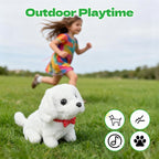 YOUGAANY 2026 New White Pets Walking Puppy Perro