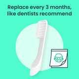 quip Cabezales de repuesto para cepillos de dientes sónicos para ad...